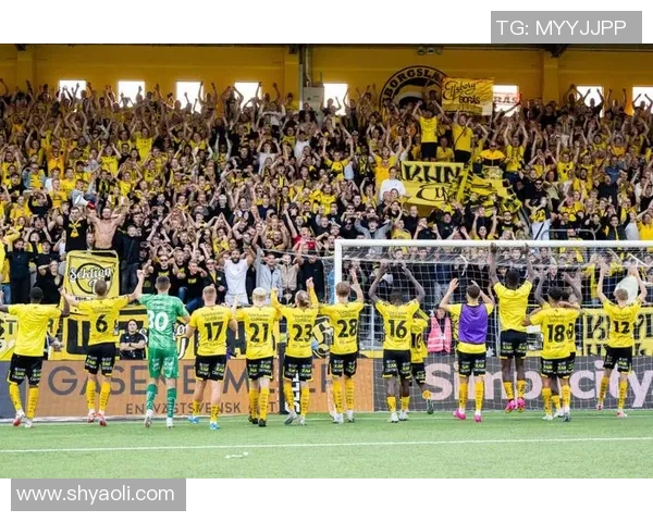 卡尔马对阵埃尔夫斯堡比分预测及赛前分析推荐