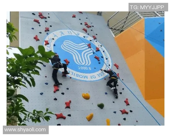 南京攀岩队的节奏体系与攀岩战术的深度解析与实践探讨 南京攀岩队的节奏体系与攀岩战术的深度解析与实践探讨