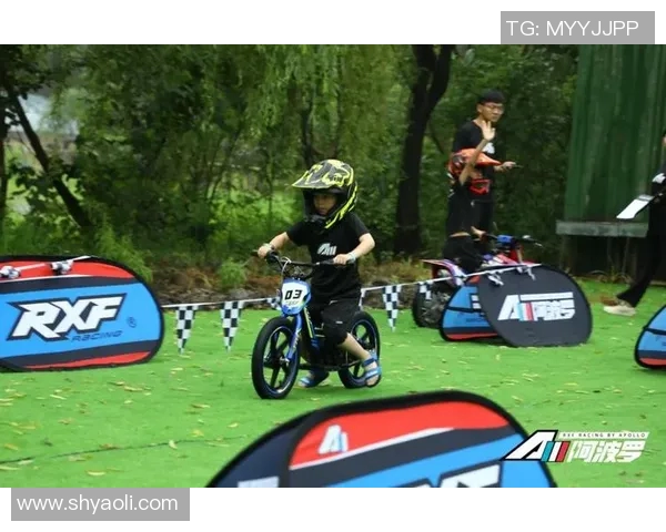 武汉极限运动队的管理与发展探析：热点现象与未来趋势