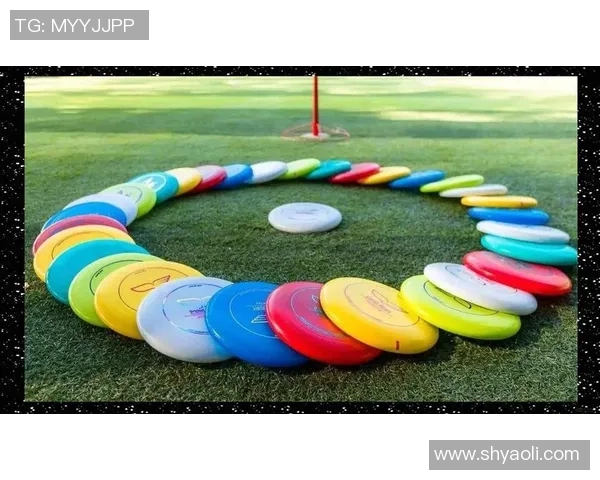 飞盘竞技的魅力：深入武汉飞盘队的团队协作与精神探讨