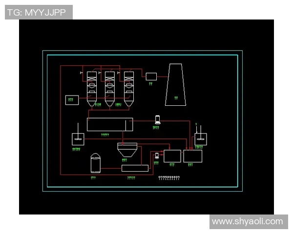 正规进口健身器材网购平台及报关流程说明
