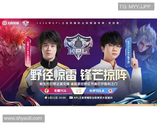 TES战队的蜕变之路：从荣耀巅峰到全新挑战的纪实探索