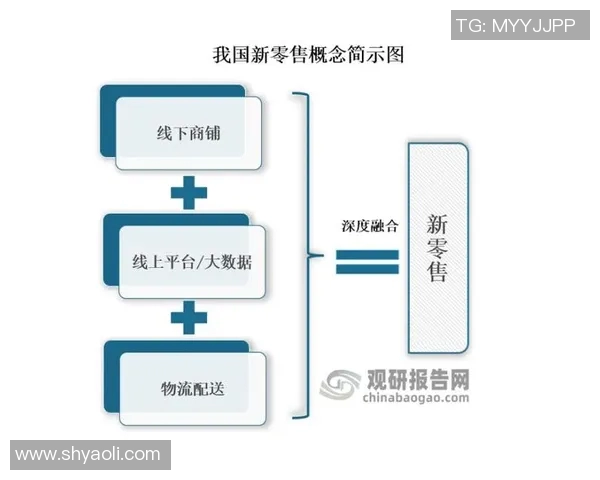 南京羽毛球队的战术控制与发展趋势深度解析
