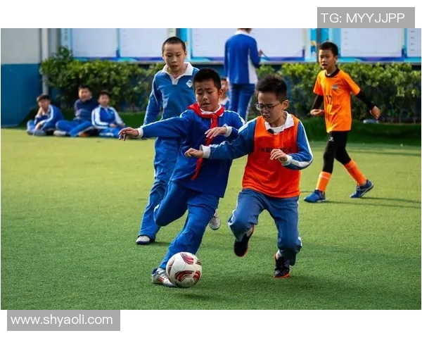 法国足球甲级联赛发展历程与现状分析及未来前景展望