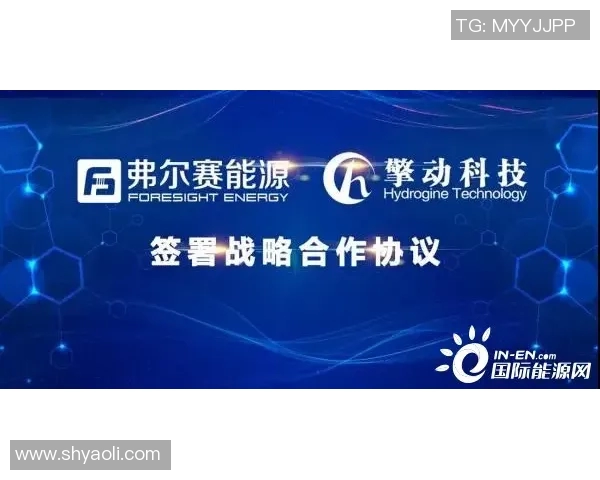 LNG团队协作展现出色实力大师赛点评分析其成功之道 LNG团队协作展现出色实力大师赛点评分析其成功之道